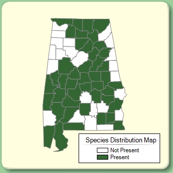 Species Distribution Map