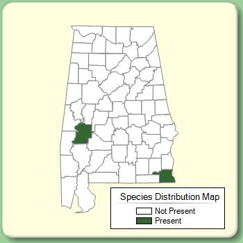 Species Distribution Map