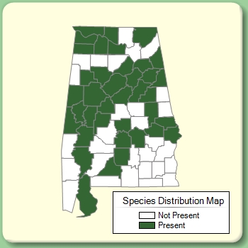 Species Distribution Map