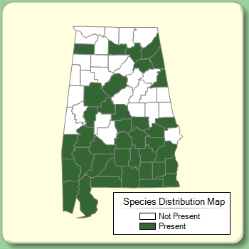 Species Distribution Map