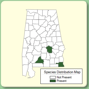 Species Distribution Map