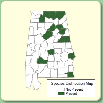 Species Distribution Map