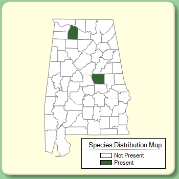 Species Distribution Map