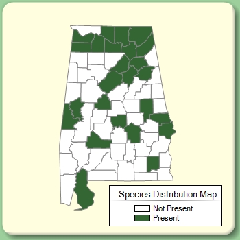 Species Distribution Map