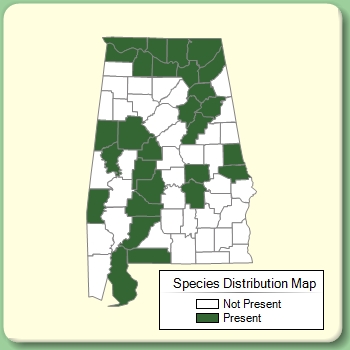 Species Distribution Map