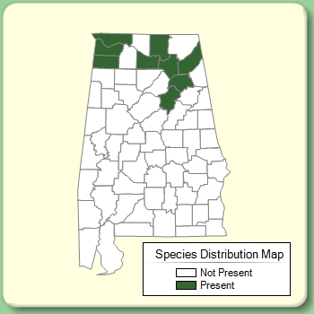 Species Distribution Map