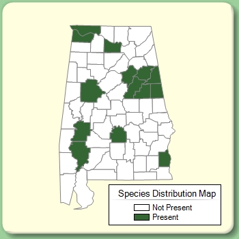 Species Distribution Map