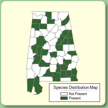 Species Distribution Map