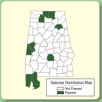 Species Distribution Map