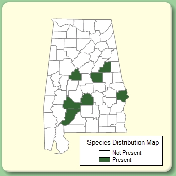 Species Distribution Map