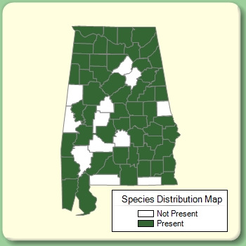 Species Distribution Map