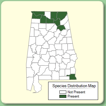 Species Distribution Map