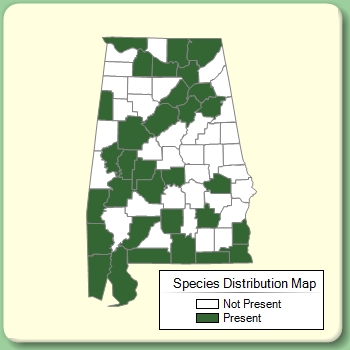 Species Distribution Map