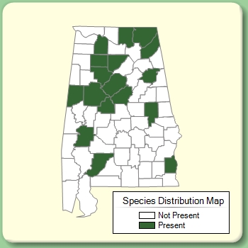 Species Distribution Map