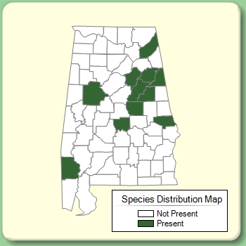 Species Distribution Map