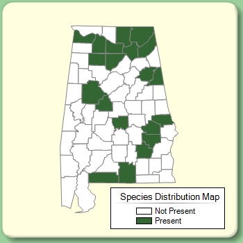 Species Distribution Map