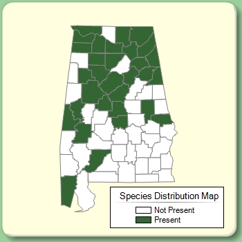 Species Distribution Map