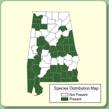 Species Distribution Map