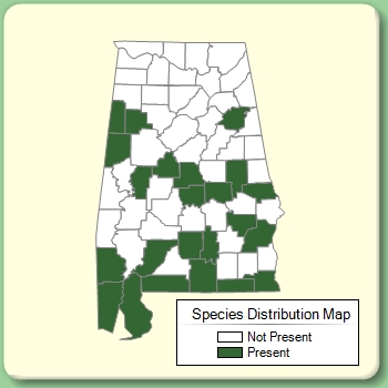 Species Distribution Map