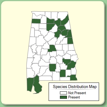 Species Distribution Map