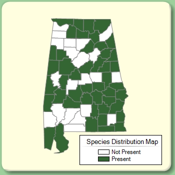 Species Distribution Map