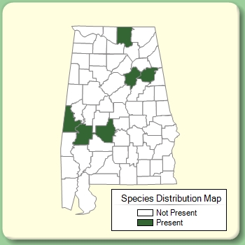 Species Distribution Map