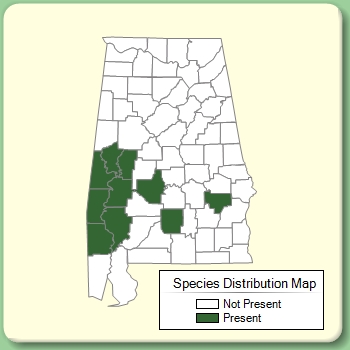 Species Distribution Map