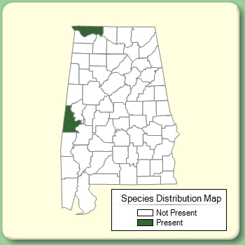 Species Distribution Map