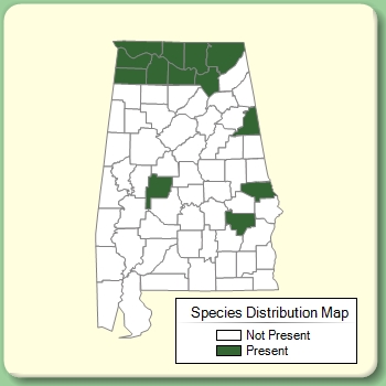 Species Distribution Map