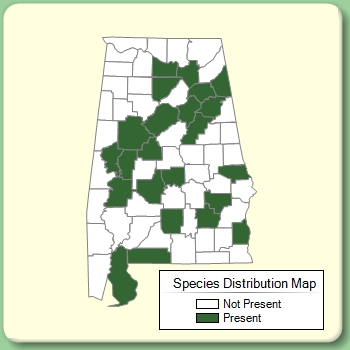 Species Distribution Map