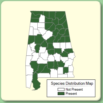 Species Distribution Map