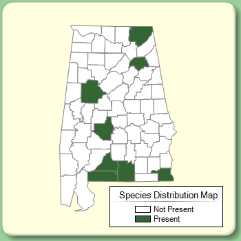 Species Distribution Map