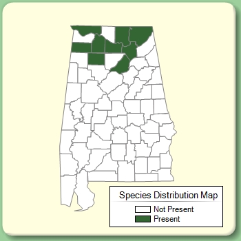 Species Distribution Map