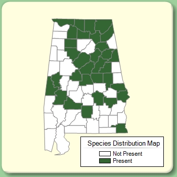 Species Distribution Map