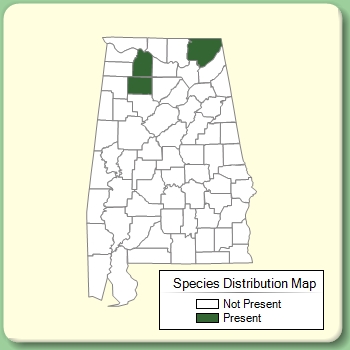 Species Distribution Map