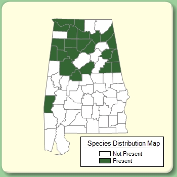 Species Distribution Map