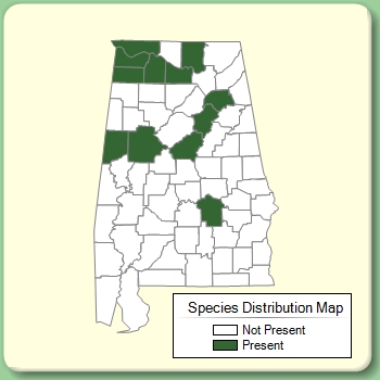 Species Distribution Map