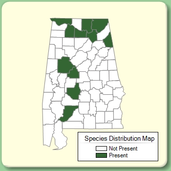 Species Distribution Map