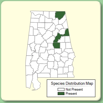 Species Distribution Map