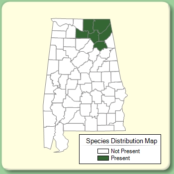 Species Distribution Map