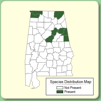 Species Distribution Map