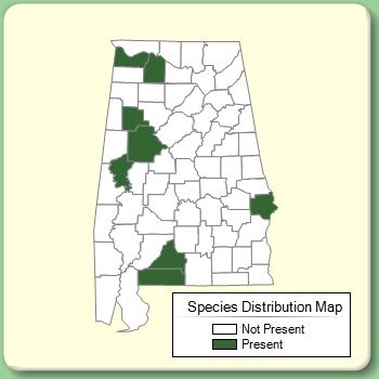 Species Distribution Map