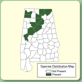 Species Distribution Map