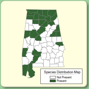 Species Distribution Map