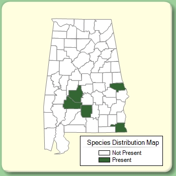 Species Distribution Map