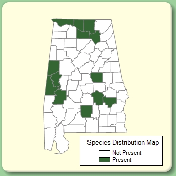 Species Distribution Map