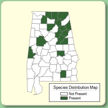 Species Distribution Map