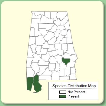 Species Distribution Map