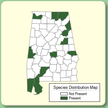 Species Distribution Map