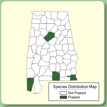 Species Distribution Map